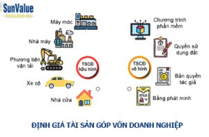 định giá tài sản góp vốn công ty, tài sản góp vốn doanh nghiệp, thẩm định giá tài sản