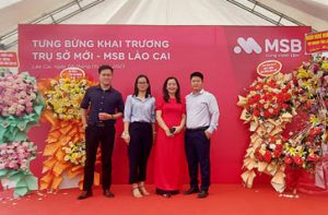 thẩm định giá đông dương, khai trương msb