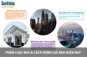 loại hình bds