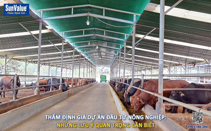 thẩm định giá dự án, dự án đầu tư, dự án nông nghiệp, thẩm định giá đông dương