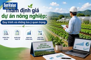 định giá dự án, dự án nông nghiệp, thẩm định giá, đông dương sunvalue