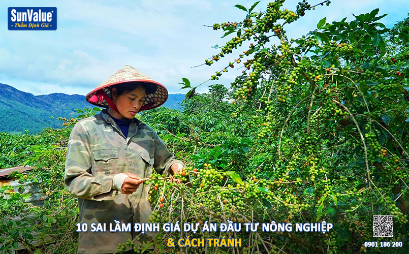 định giá dự án, dự án nông nghiệp, thẩm định giá